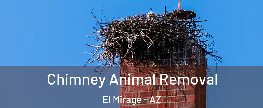  Chimney Animal Removal El Mirage - AZ