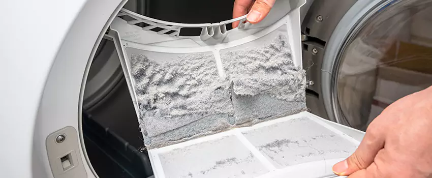 Best Dryer Lint Removal Company in El Mirage, Arizona